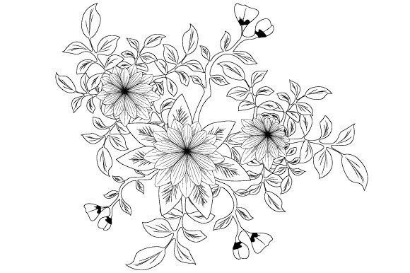 Black and Floral Graphics: An Illustrator's Review for Commercial Use