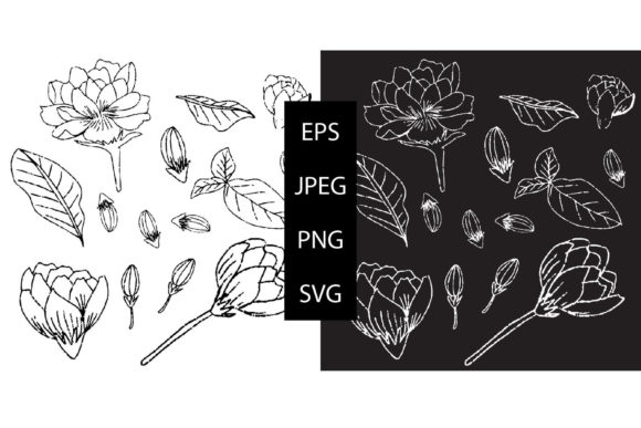 Doodles Jasmine Floral Collection Graphics and Illustrations
