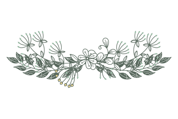 Floral Divider. Hand Drawn Vintage Branc Graphics and Illustrations