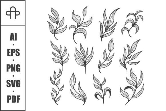 Floral Leaf Hand Drawn Elements Set: Graphics & Illustrations Review