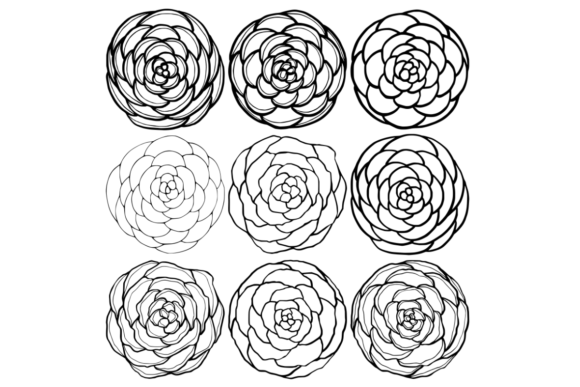 Floral Shapes Line Art Roses Succulents Graphics and Illustrations