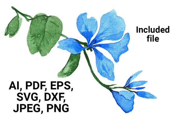 Watercolor Floral Elements Set: Graphics & Illustrations Review